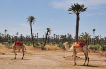 Marrakech private full-day city tour with a driver