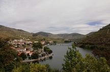 Douro Valley guided tour with wine tasting, lunch and river cruise from Porto