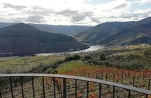 Douro Valley guided tour with wine tasting, lunch and river cruise from Porto