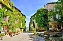 Full-day lavender tour in Sault from Aix en Provence