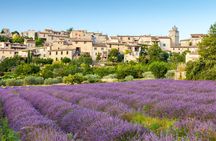 Full-day lavender tour in Sault from Aix en Provence