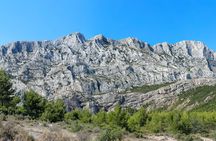 Wine Tour in Cézanne Countryside from Aix-en-Provence