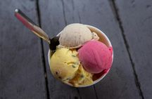 Daintree Rainforest, Cape Tribulation and Bloomfield Track small group tour