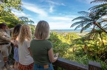 Daintree Rainforest, Cape Tribulation and Bloomfield Track small group tour