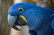 Bird Kingdom admission tickets