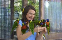 Bird Kingdom admission tickets