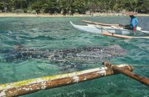 Full-day Oslob whale shark and  Kawasan waterfalls tour