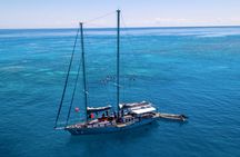 Personal sail, tropical island, and  snorkel in the Great Barrier Reef