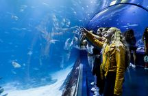 Admission Tickets for the Atlantis Aquarium in Madrid