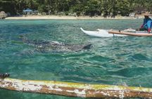 Full-day Oslob whale shark and Sumilon sandbar