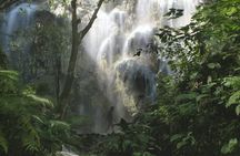 Full-day Oslob whale shark encounter with Tumalog falls