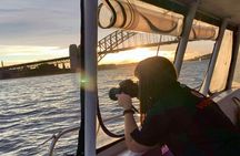 Sunset and sparkle harbor cruise