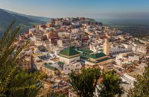Meknes and Volubilis day trip from Fez