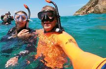 Swim with seals in Plettenberg Bay