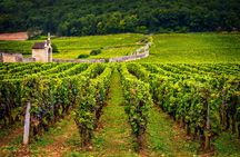 Burgundy wine tour in Chablis from Paris with tasting 12+ drinks