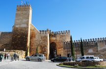 Carmona and Necropolis: guided day tour from Seville