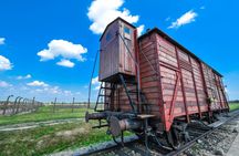 Full-day Tour of Auschwitz-Birkenau and Wieliczka Salt Mine from Krakow