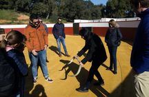 Bull-breeding farm guided half-day tour from Seville