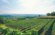 Amarone wine trail tour from Verona