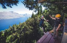 Queenstown Kereru 2-line + drop