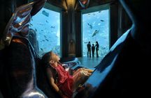 Atlantis Aquarium "The Lost Chambers" tickets