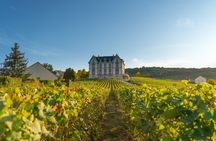 Champagne day trip from Paris with visit to wineries and Reims Cathedral