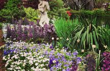 Houmas House estate and gardens guided mansion tour