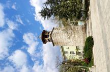 Pokémon GO Silven private tour
