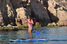 Los Cabos paddleboard and snorkeling experience