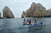 Los Cabos paddleboard and snorkeling experience