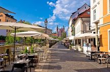 Ljubljana city tour and castle from the Coast