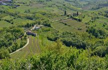 Wine hills of Goriska Brda day trip from Ljubljana