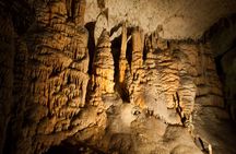 Day trip to Postojna Cave and Predjama castle from Ljubljana