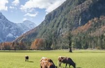 Private Logar Valley and Alpine fairytale day trip from Bled
