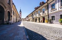 Day trip to Kamnik and Big Pasture Plateau from Ljubljana