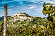 Istria day trip with Pula Amphitheatre from the Slovenian Coast