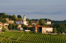 Wine hills of Goriska Brda day trip from Bled