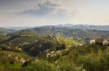 Wine hills of Goriska Brda day trip from the Coast