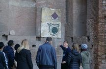 VIP Arena small group Colosseum tour with Palatine Hill & Roman Forum