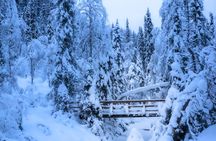Visit the frozen waterfalls of Korouoma