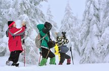 Visit the frozen waterfalls of Korouoma