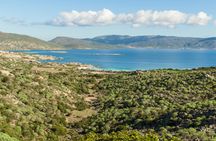 Full-day Asinara National Park tour