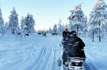 Family Day with Snowmobiles, Arctic Animals and Santa Village