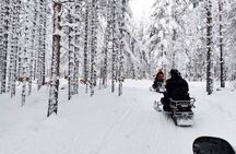 Arctic Circle Snowmobile Safari