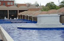 Martin Luther King Jr. historic district tour
