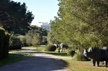 Sa Bassa Blanca Museum Alcudia Ticket