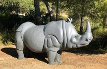 Sa Bassa Blanca Museum Alcudia Ticket