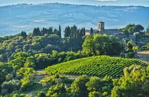 Brunello wine tasting and lunch in a Tuscan castle in Montalcino