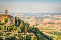 Brunello wine tasting experience in Montalcino