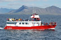 ATV riding and whale watching combo